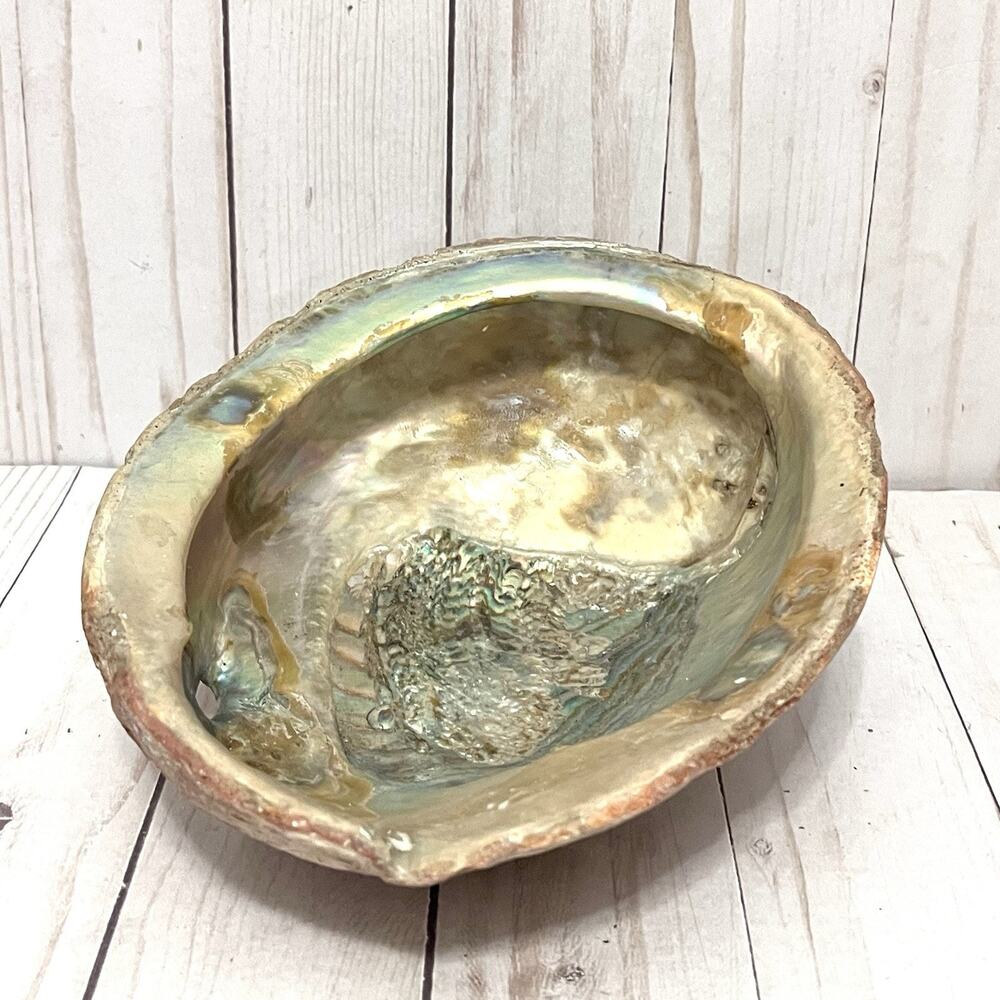 Vintage LARGE 2 lb Abalone Shell 8" x 7" Iridescent Mother of Pearl Boho Decor
